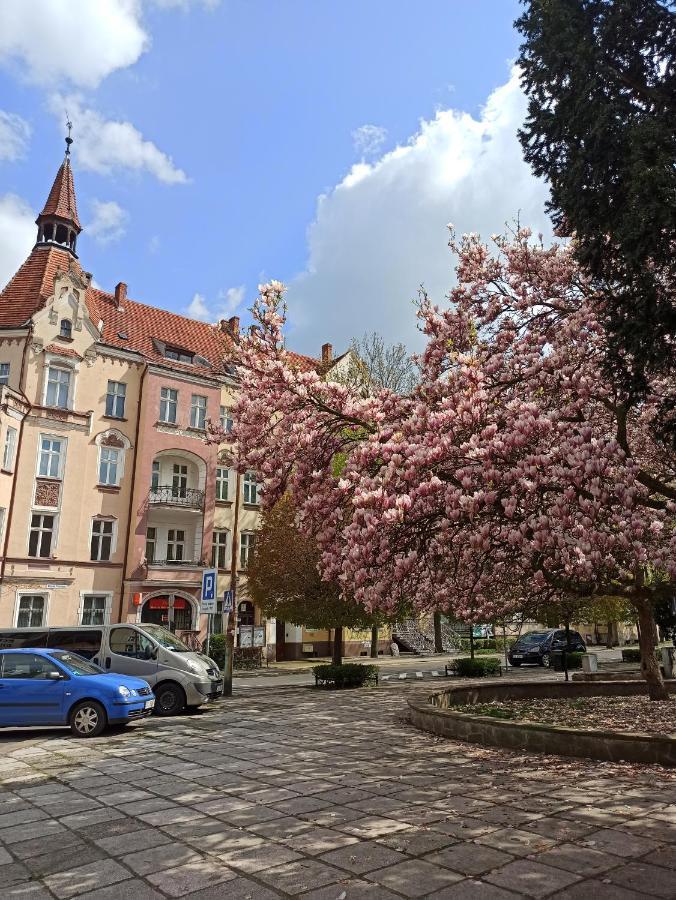 Apartament Rozeta Centrum 6Os Legnica Ngoại thất bức ảnh